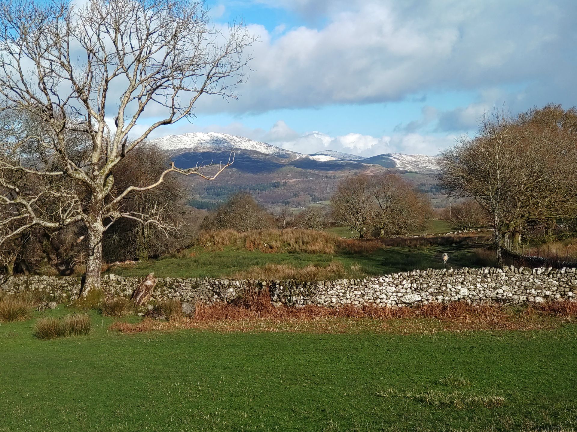 Winter above Dolgellau